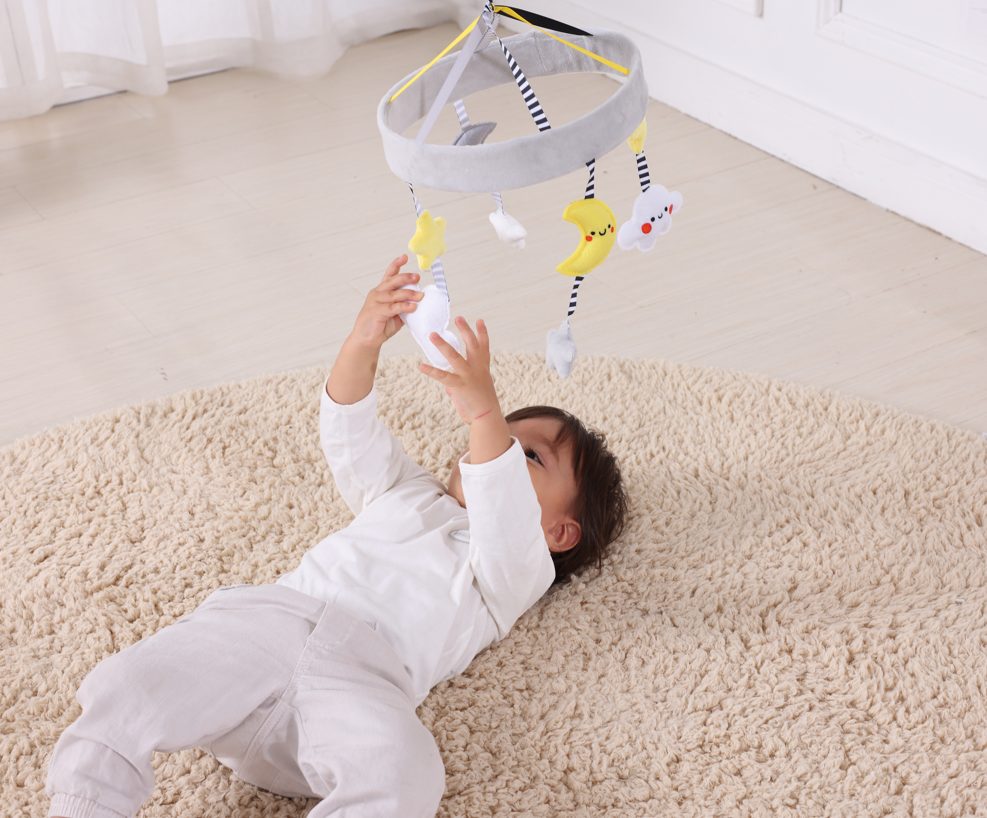 Montessori PlayBox 0-3 Months