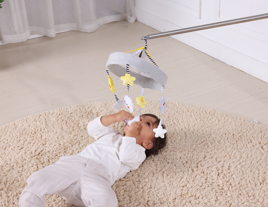 Montessori PlayBox 0-3 Months