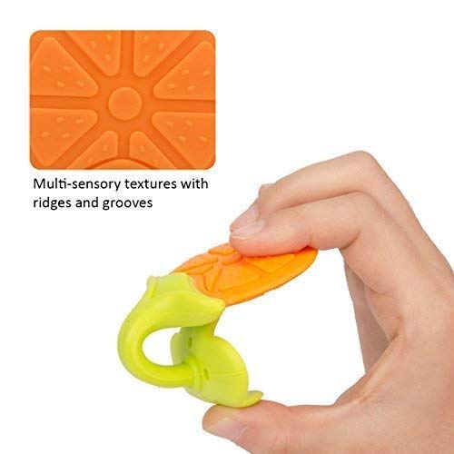 Baby Fruit Teether