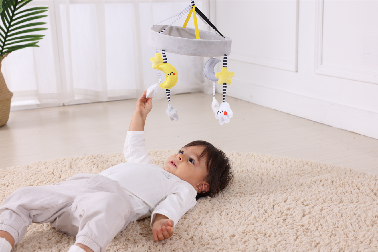 Montessori PlayBox 0-3 Months