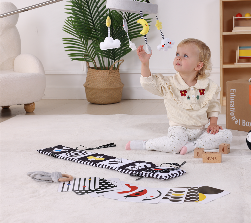 Montessori PlayBox 0-3 Months