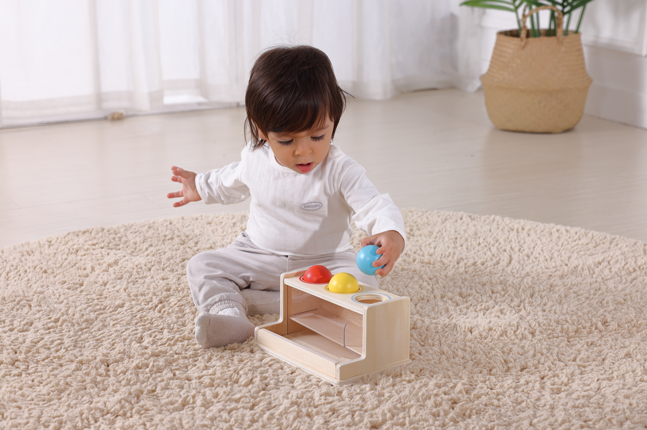 Montessori PlayBox 11 Months +