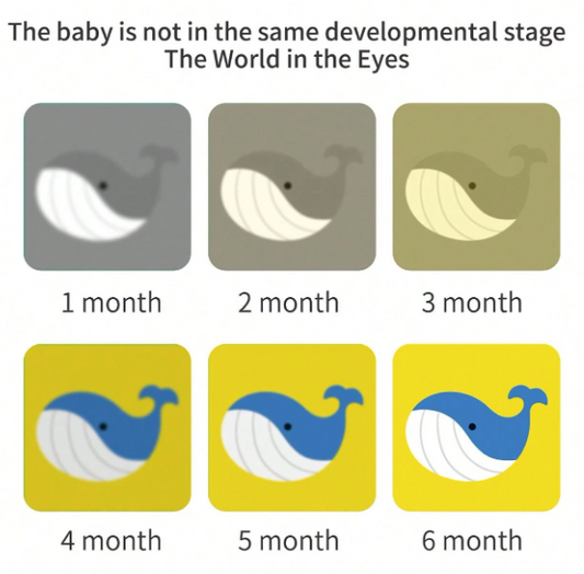 Red & Black Visual Stimulation Cards (3–6 Months)
