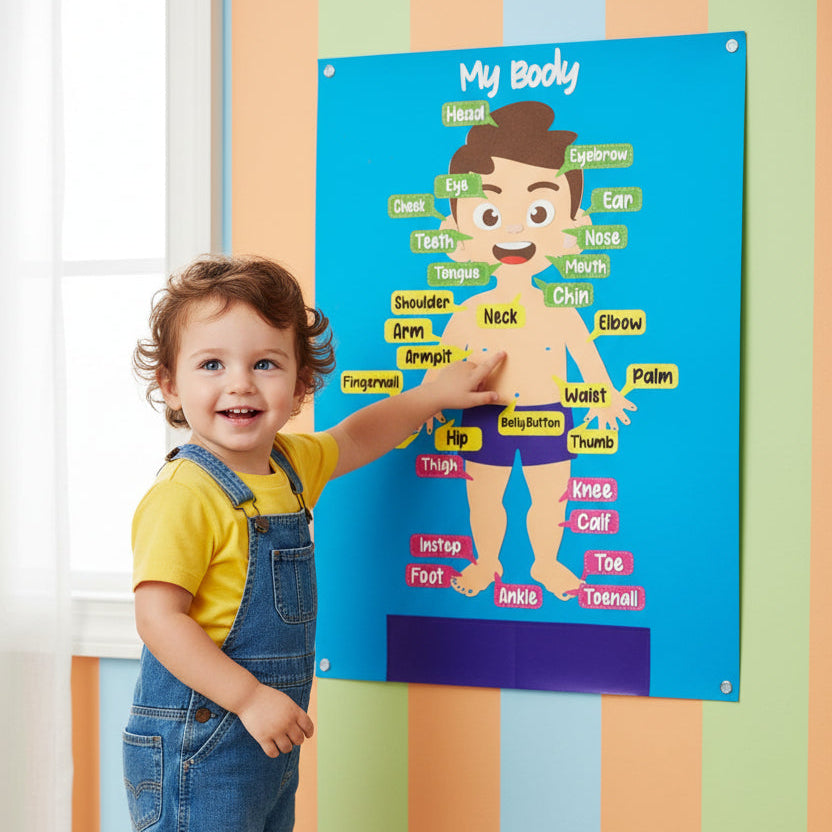 My Body Wall-Mounted Busy Board (VELCRO)